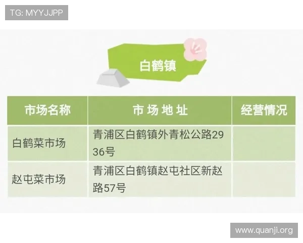 二八杠推饼子经典玩法解析，掌握核心技巧实现稳健盈利的方法