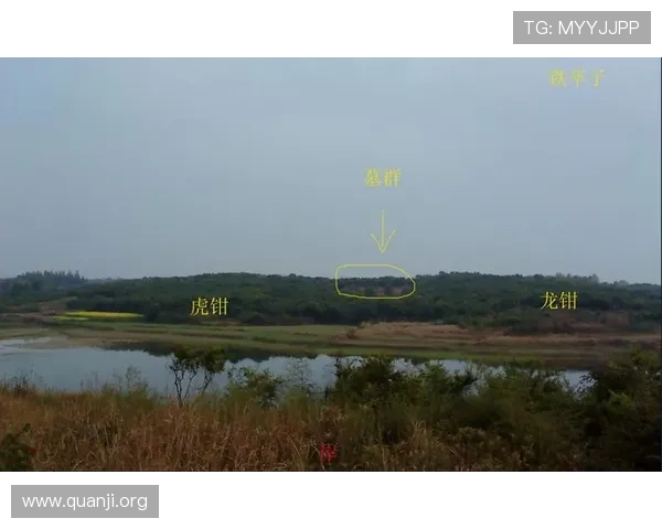 出龙和虎的玩法攻略:新手必学的战斗策略与实用技巧 出龙和虎的玩法攻略:新手必学的战斗策略与实用技巧