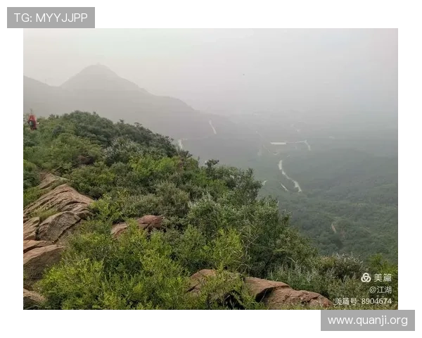 如何运用十三水技巧在比赛中取得优异成绩的实用指南