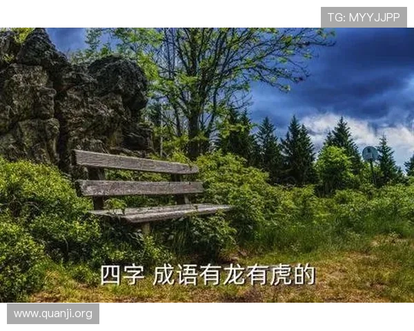 掌握龙虎成语的正确用法与应用场景，提升你的汉语表达能力与文化素养